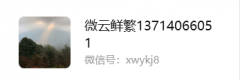 3.现私：用户能够正在家中自行拍摄舌苔照